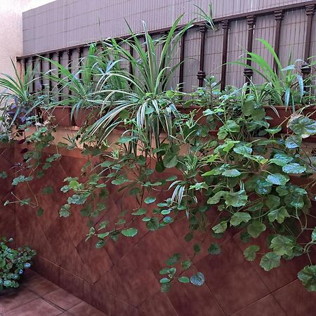 Apartamento La Reina Córdoba Exteriér fotografie